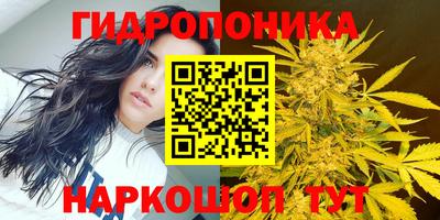 мяу мяу кристалл Кингисепп