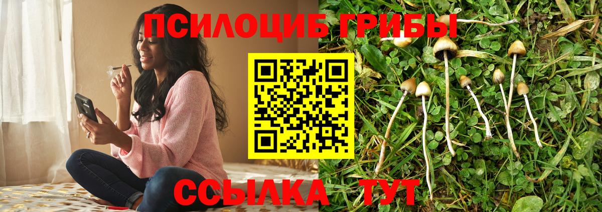Галлюциногенные грибы MAGIC MUSHROOMS Нижнеудинск